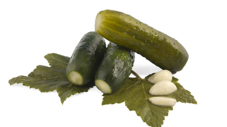     Фото: Mike Golubev, Shutterstock.com