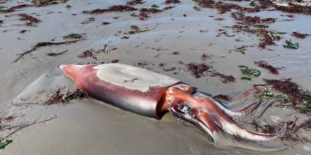 Последний день нашего путешествия