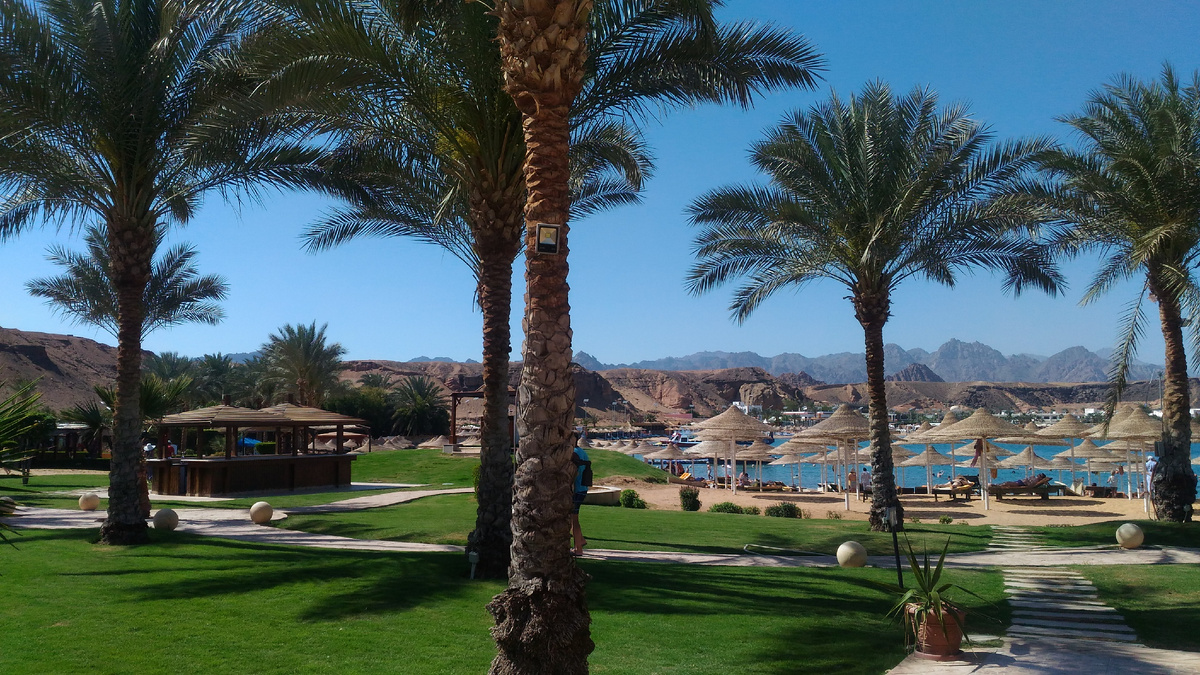 Египетр (Шарм)