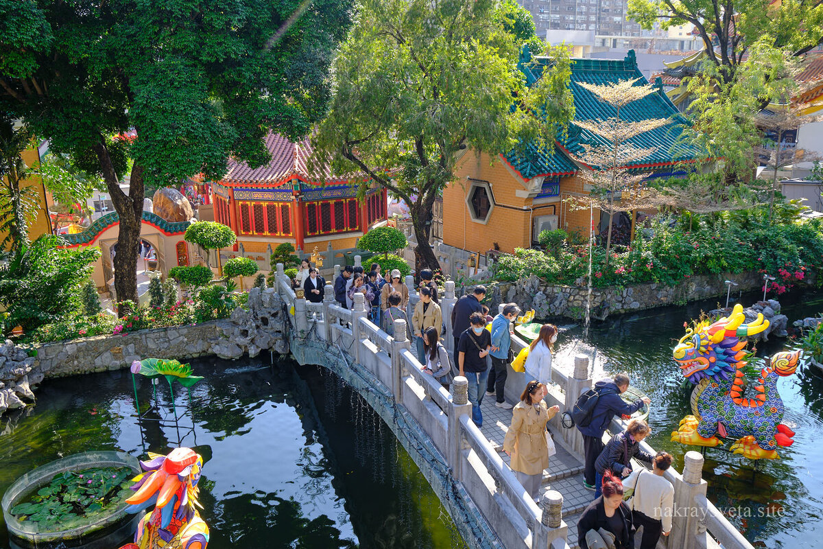 Когда за один кадр нужно показать, какая погода в Гонконге в январе — просто снимите этот мост. Здесь есть все: и те, кто верит прогнозу, и те, кто верит солнцу, и те, кто просто взял с собой куртку