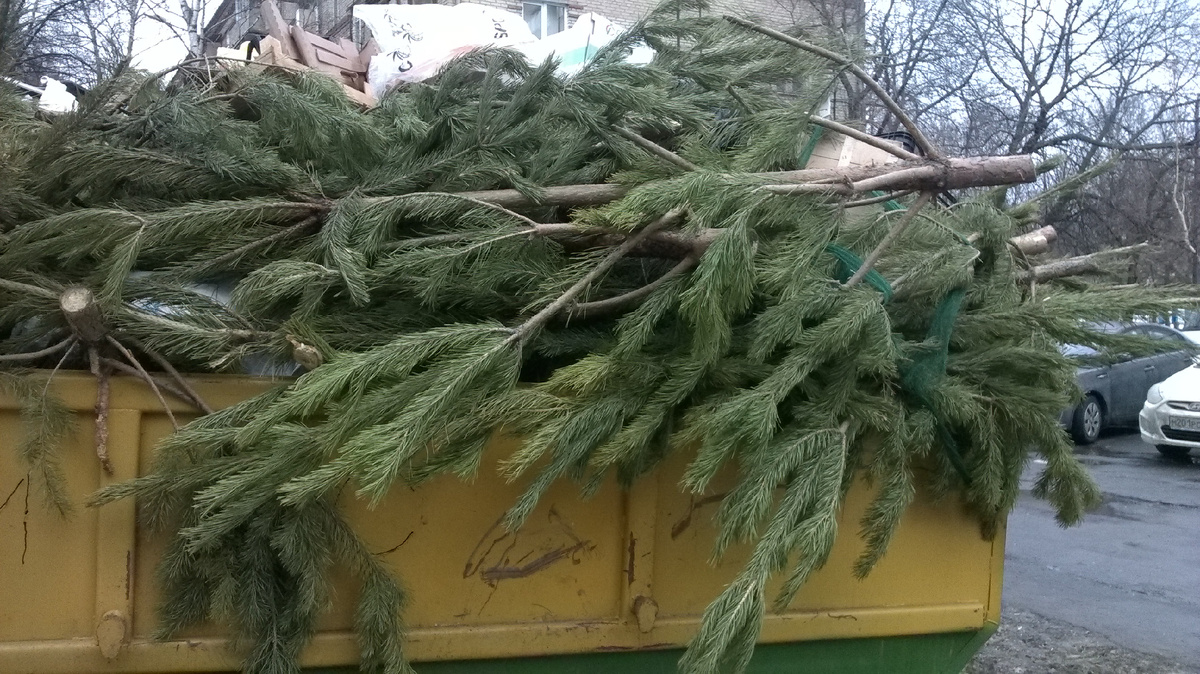 После Нового года. Москва.