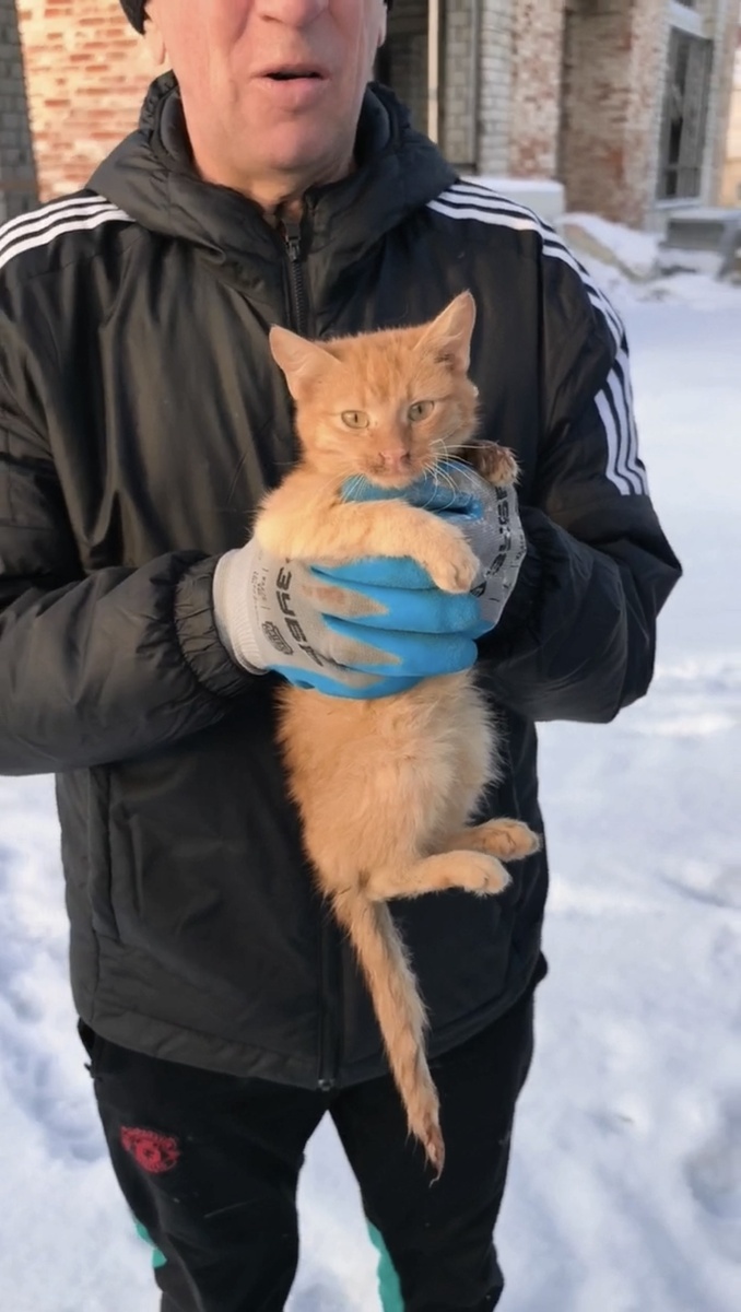 Грязный, лапки сжал, хвостом от холода не шевелит. Бедолага. Фото из архива автора