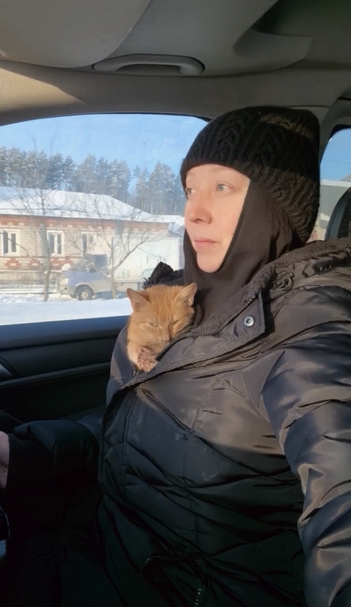 Отогрелся и сразу замурчал. Фото из архива автора