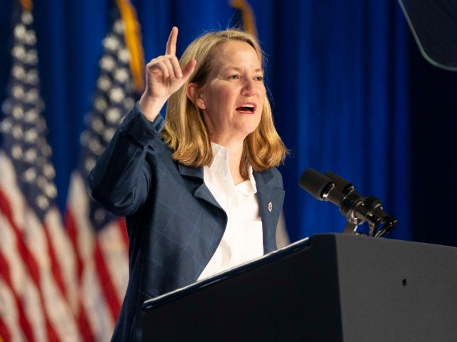 Генеральный прокурор-демократ штата Аризона Крис Мэйс.