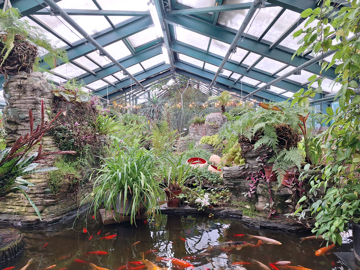 Субтропическая оранжерея. ==>