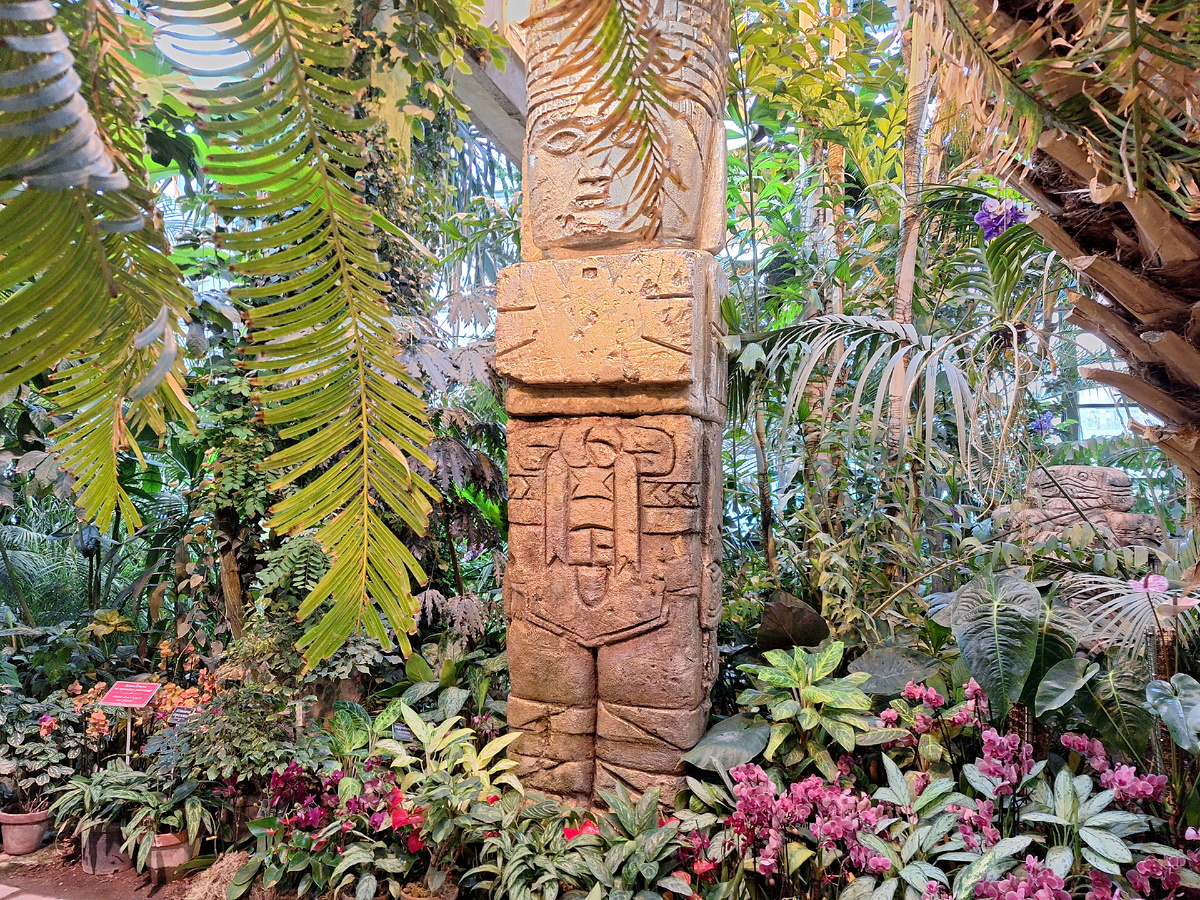 Пальмовая оранжерея. ==>