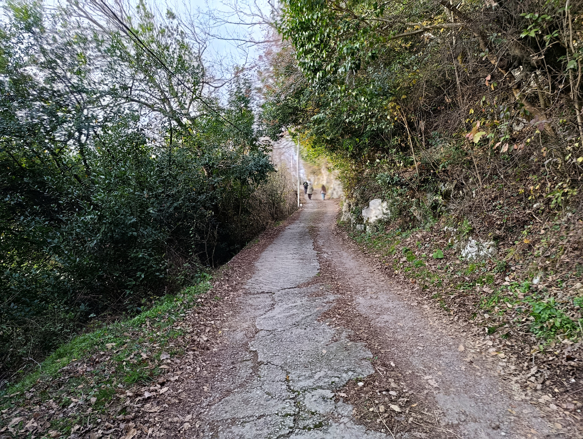 Впереди на канатку поднимается семья, которую я вскоре обогнала