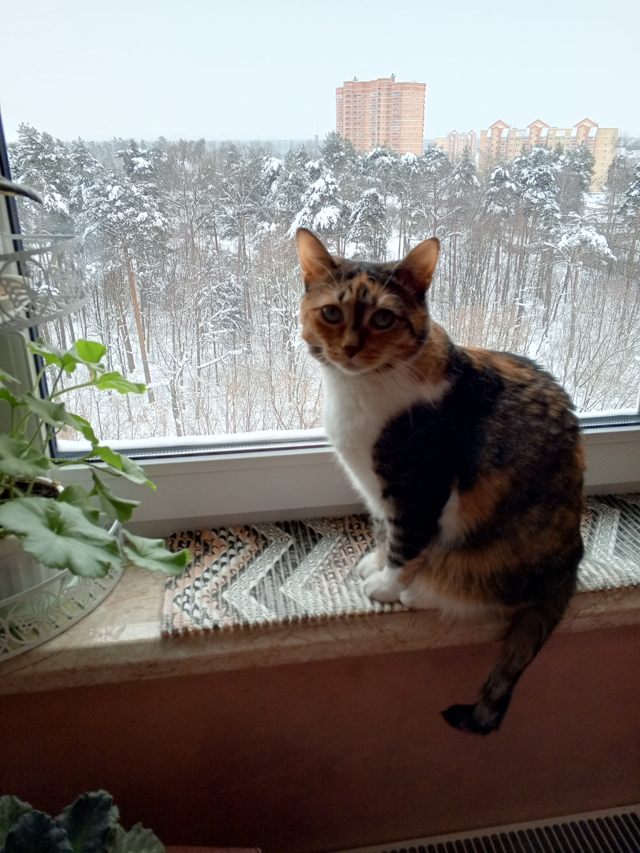 Соня контролирует процесс, а иногда и мешает (зачеркнуто) помогает