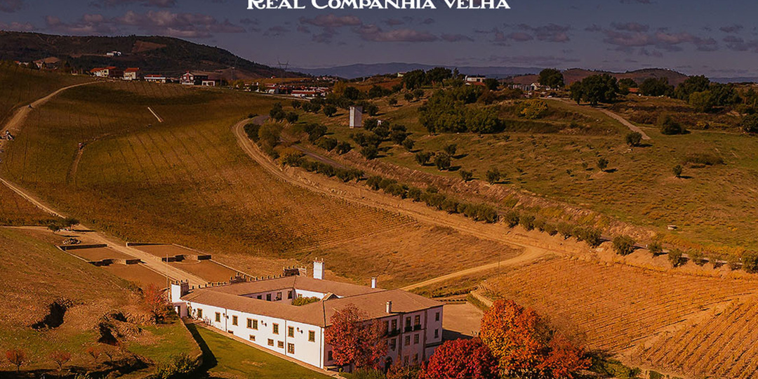 День портвейна