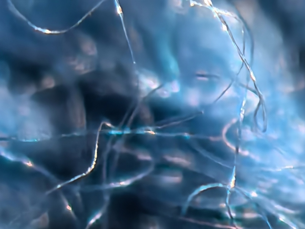 Фото: Анна Болгарина, с сайта https://www.rupixel.ru/