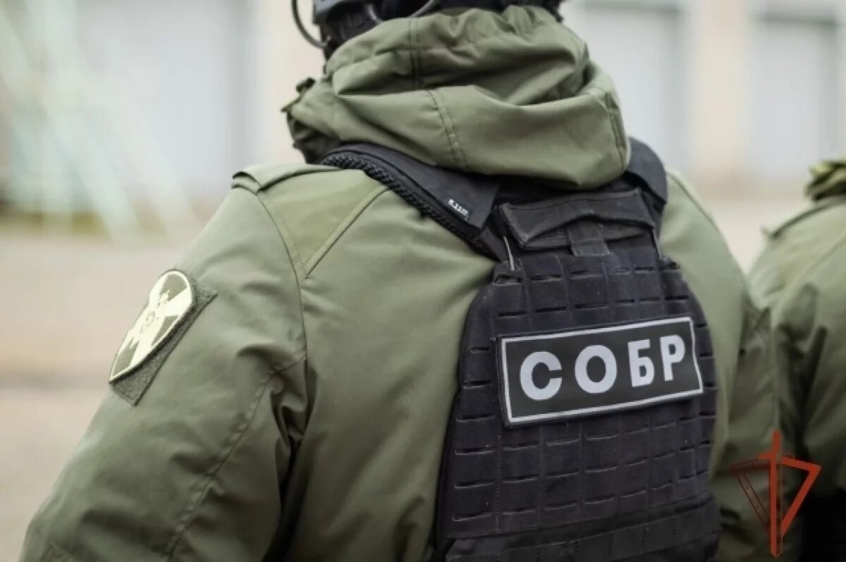    В Хабаровске офицеры СОБР спасли женщину после наезда автомобиля