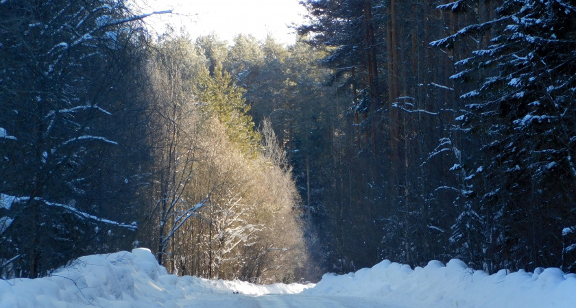    Автор: Вячеслав Вольгин