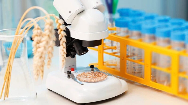     Исследование зерна ЦОК "AПК"