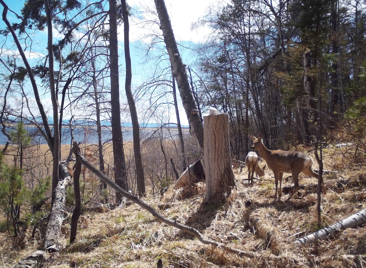 Листайте галерею, чтобы увидеть ещё фото 