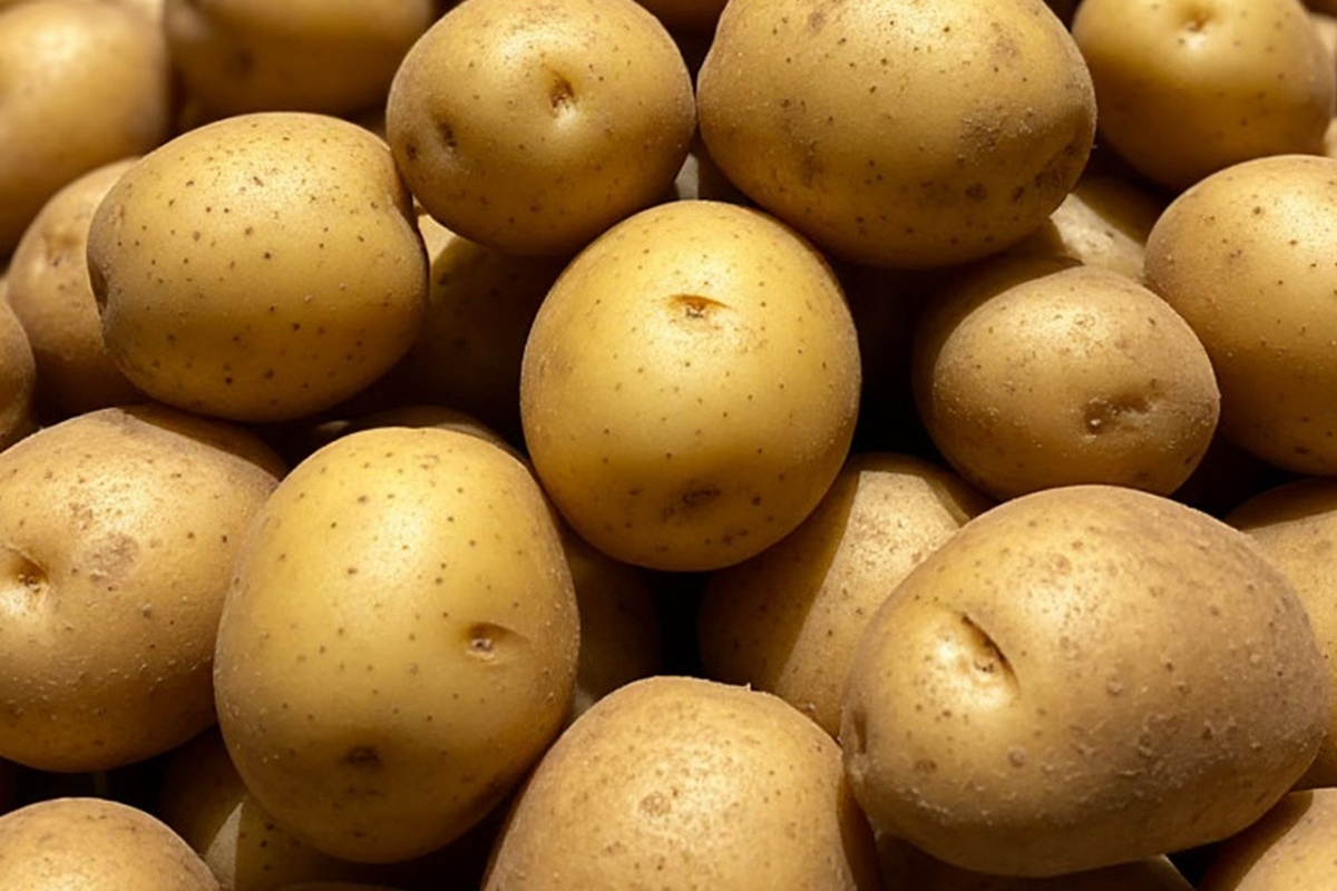    Фото: коллаж RuNews24.ru