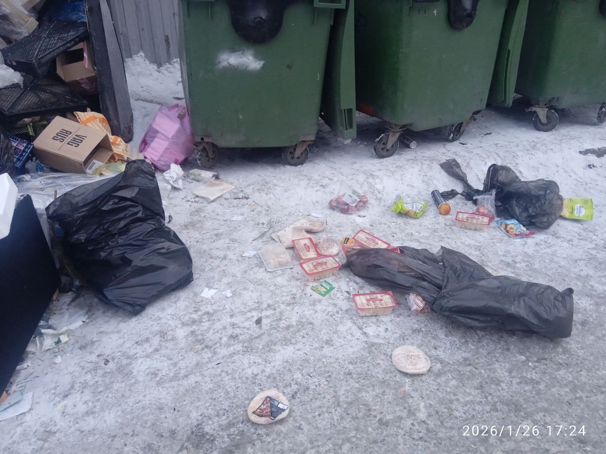 г.Омск. Санитарная площадка около дома 47 по пр.К.Маркса.  Три мешка с продуктами.