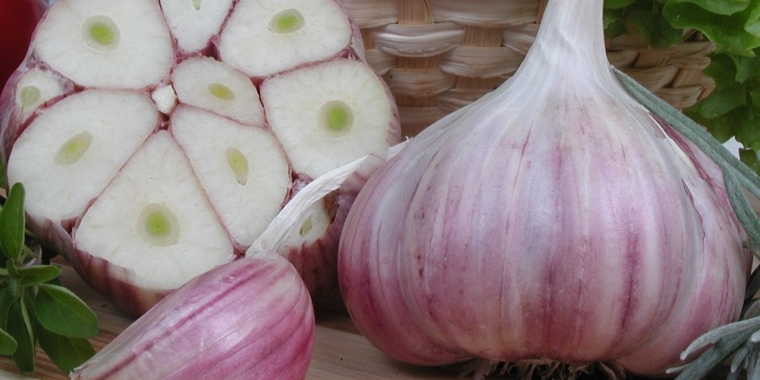 Чеснок - не просто приправа: как обычная долька может изменить ваше здоровье