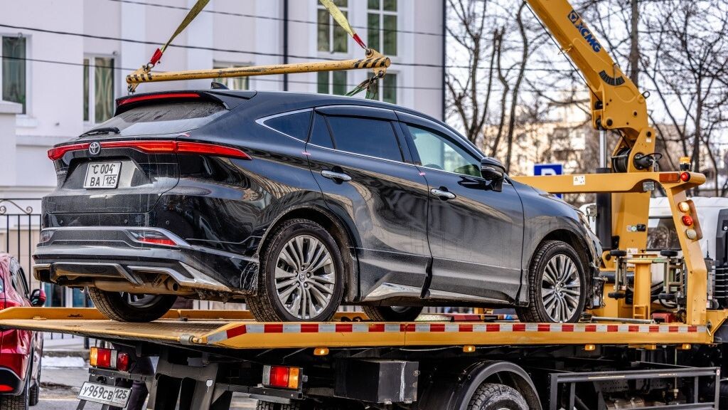   Владимир Нестеров / vlc.ru