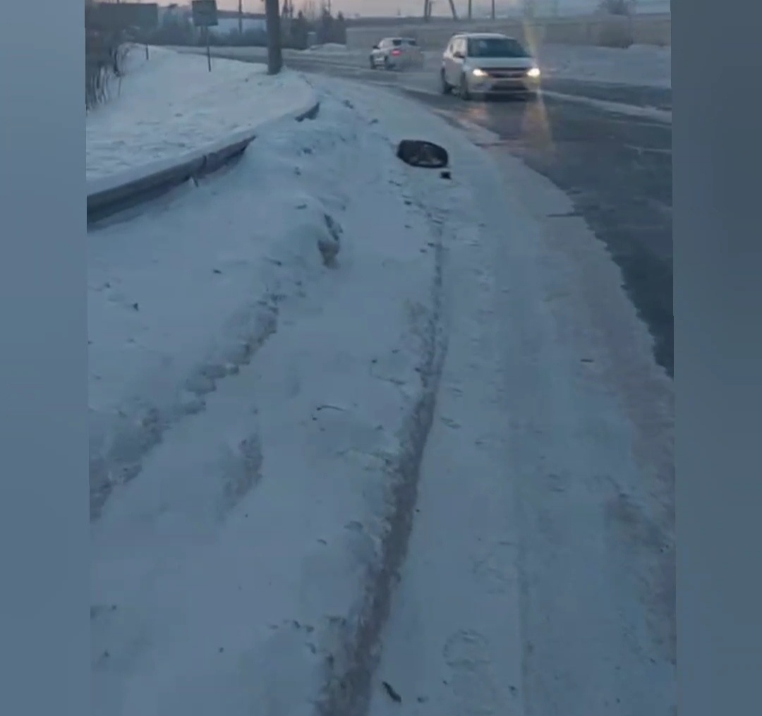 В Томске крещенские морозы, на обочине лежит пёс свернувшись клубком.