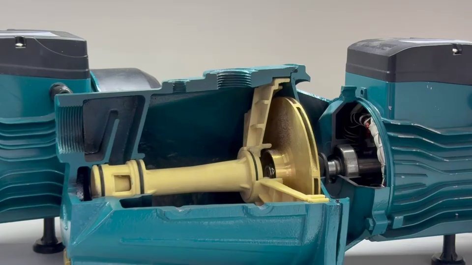 Станция PROFLINE LUX в разрезе, медная обмотка, латунное колесо, немагнитный вал.