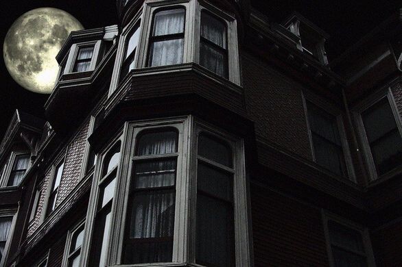 Изображение взято из открытых источников интернета. 