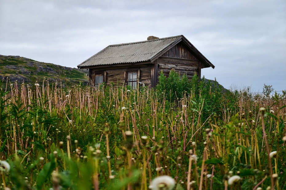    Shutterstock/FOTODOM