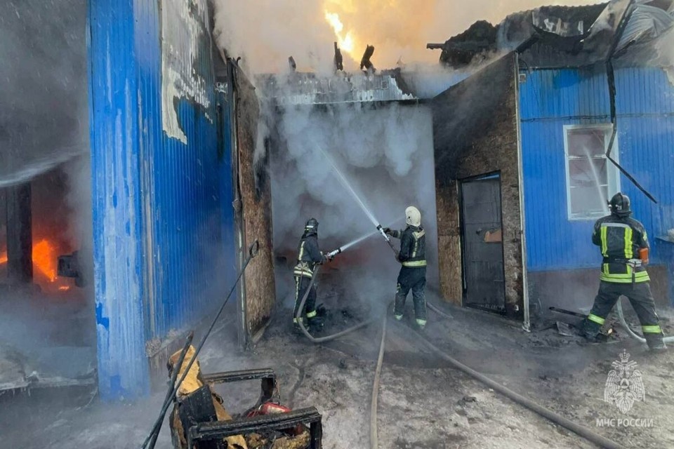    Фото: МЧС по Красноярскому краю