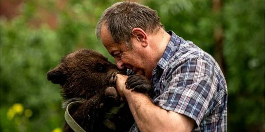 Лесник Ефим спас медвежонка— Пойдём, сирота. Но предупреждаю — на цепи не посажу. Как окрепнешь — на все четыре стороны