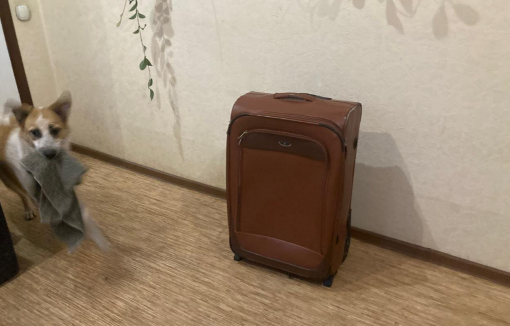 Чемодан в комнате. Антоха несет то,  что по его мнению,  заменит носовой платок, наверное. 