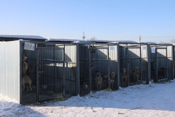    Фото:Пресс-служба администрации Хабаровска