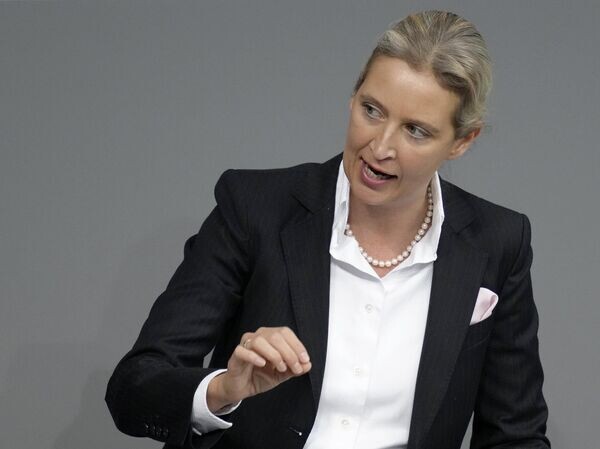    © AP Photo / Michael Sohn