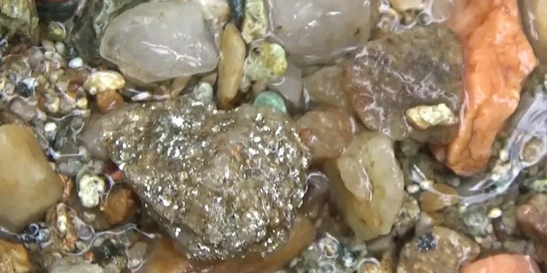 Золотой остров! Золото прямо под ногами!