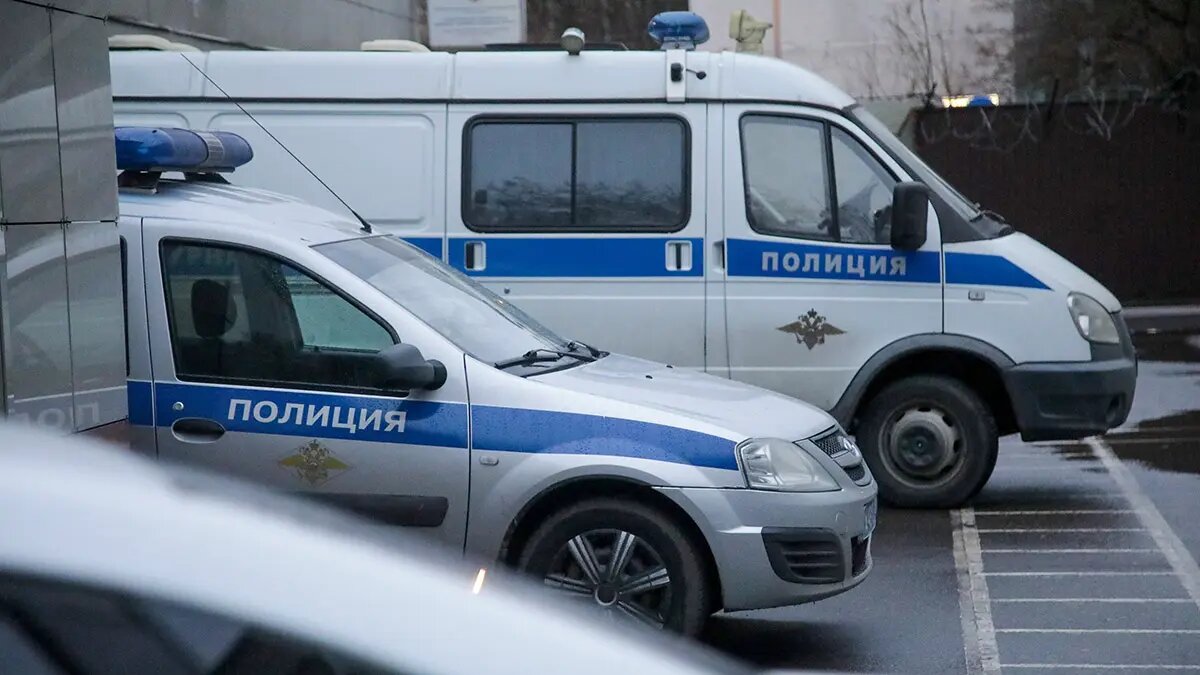    Фото: vm.ru Полина Котова