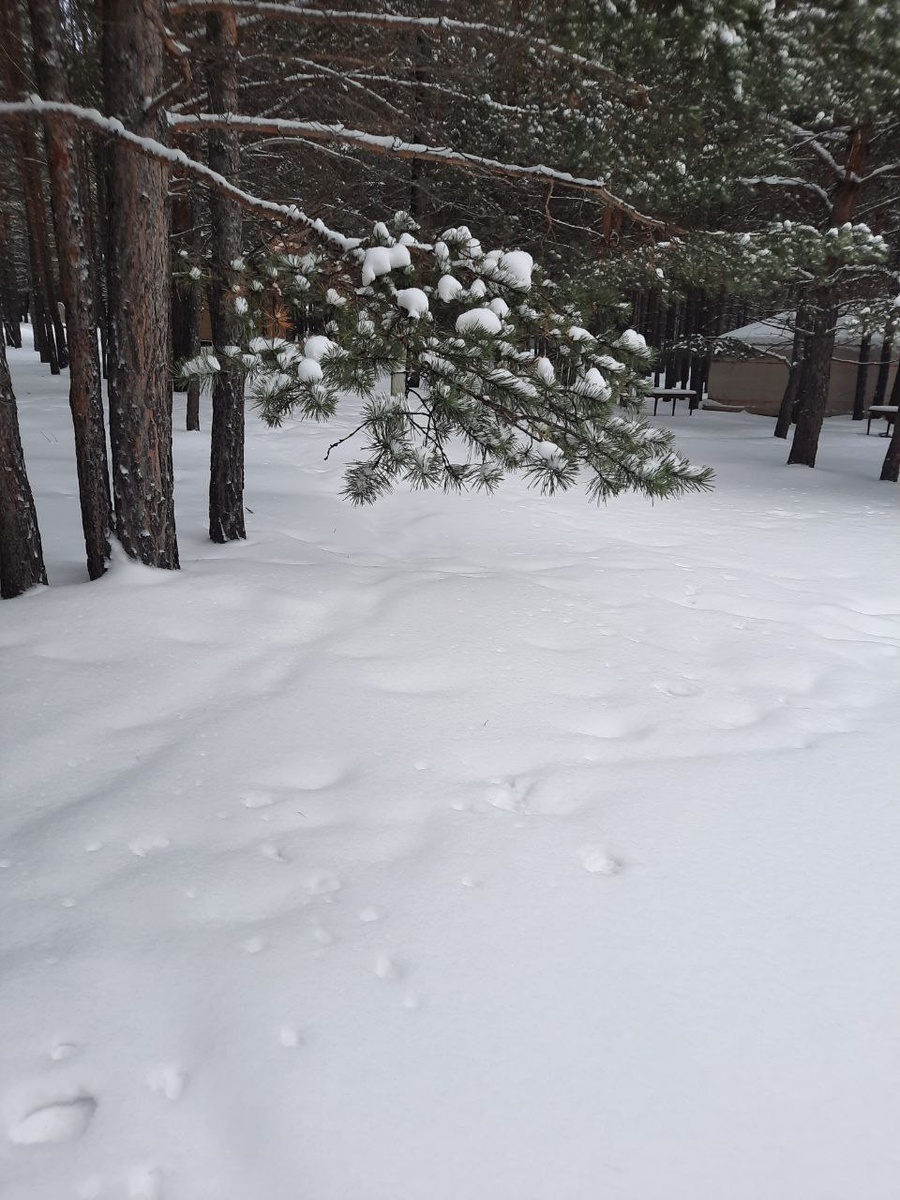 Фото автора.