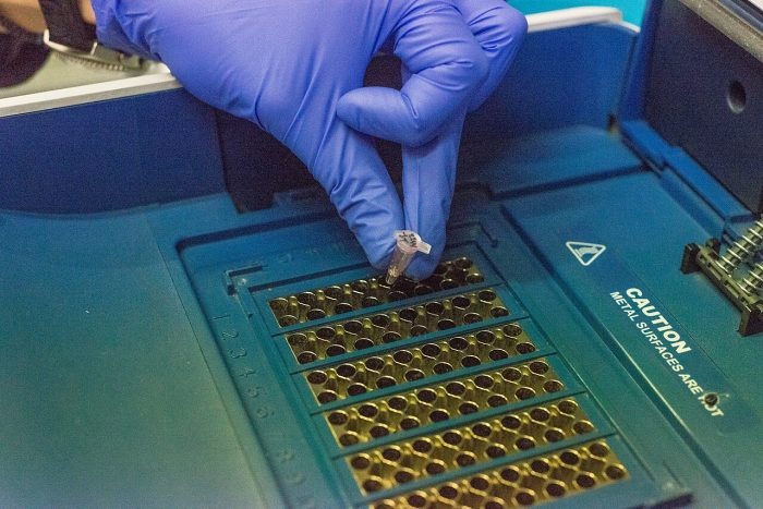 Новосибирский биолог назвал оптимальный срок для сдачи генетических тестов будущими родителями