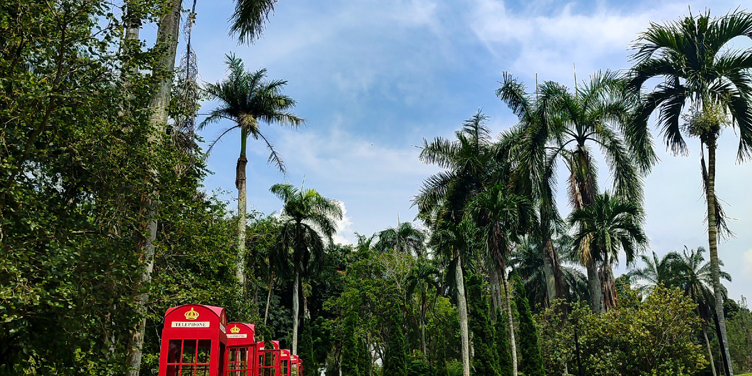 В поисках прохлады и красоты: Ботанический сад Taman Botani Putrajaya. Малайзия.