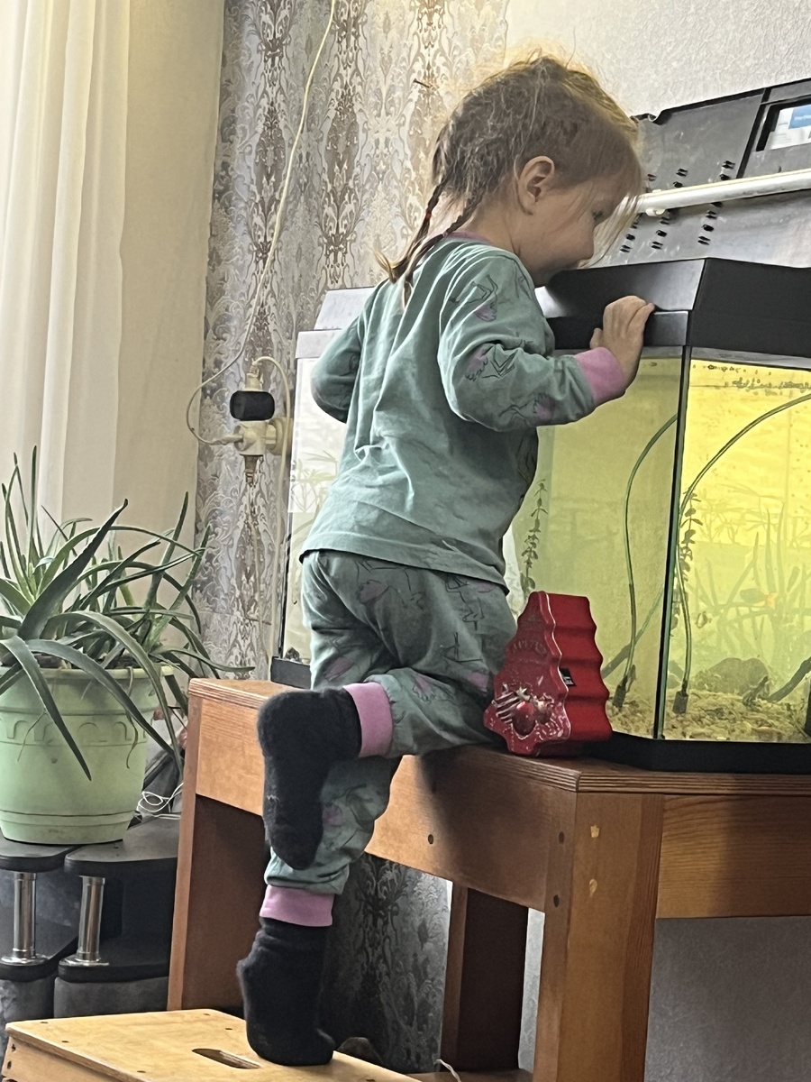 Удочку просит