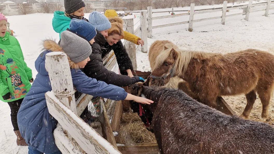    Фото: Олег Рукавицын/Царьград