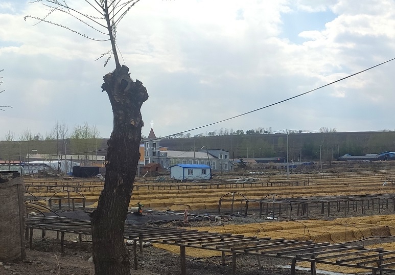 Христианская церковь на окраине посёлка Саньчакоу в уезде Дуннин городского округа Муданьцзян провинции Хэйлунцзян. 