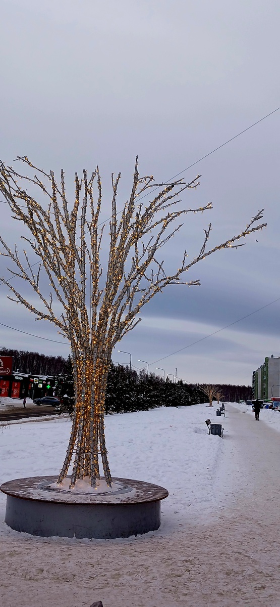 "Доброе утро, мир! Ты прекрасен!" Фото автора