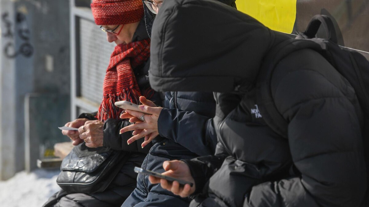    Фото: globallookpress.com/Ilya Moskovets