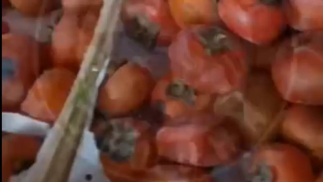    Гнилая хурма на прилавках. Фото: "Русская Община".