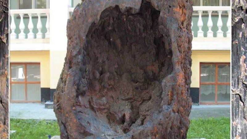 Лимонит – первоисточник железа