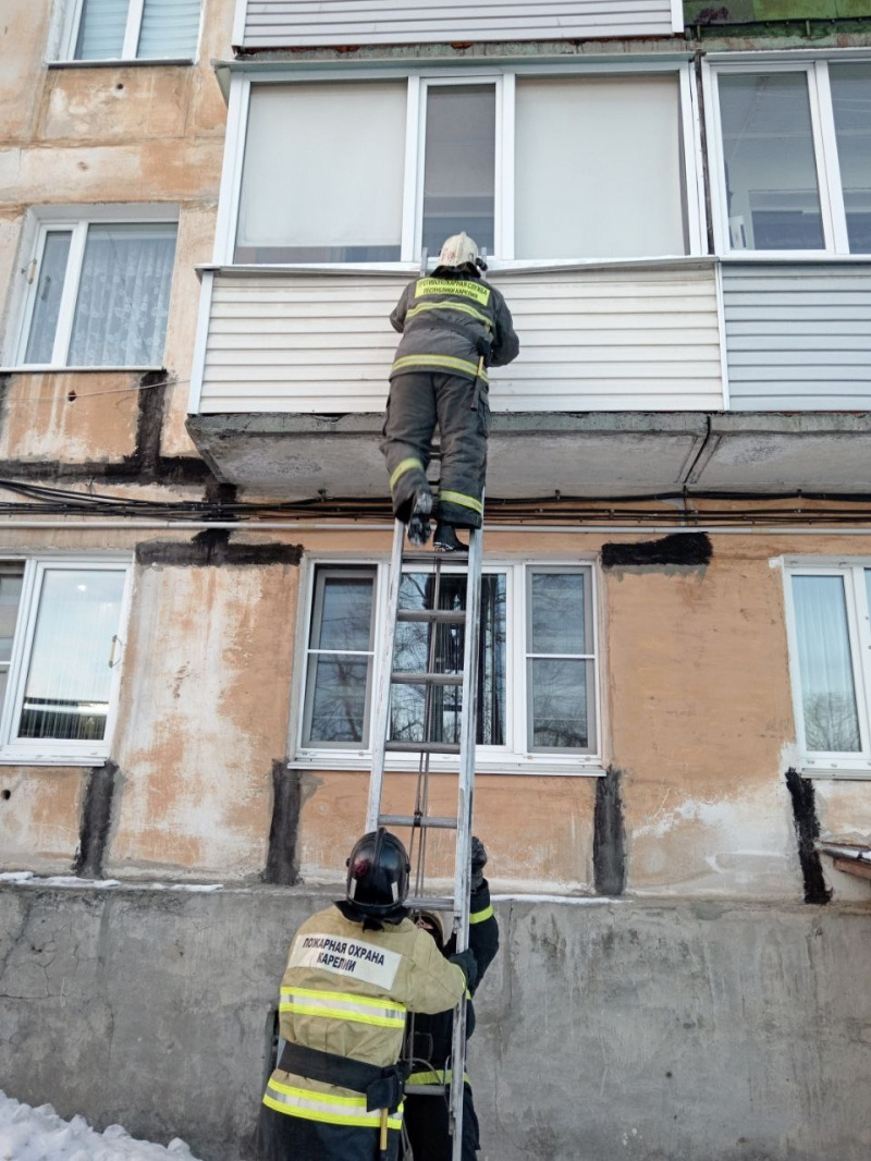    Мертвую пенсионерку нашли в собственной квартире в КемиГКУ РК «ОПС по Кемскому муниципальному округу» / VK