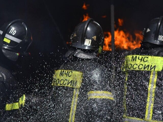    Фото: Москва 24/Антон Великжанин