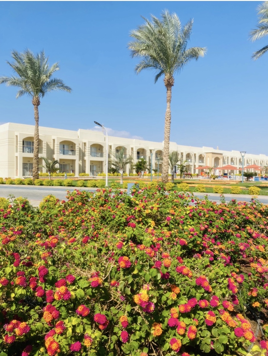 Pickalbatros Aqua Park Resort 5*