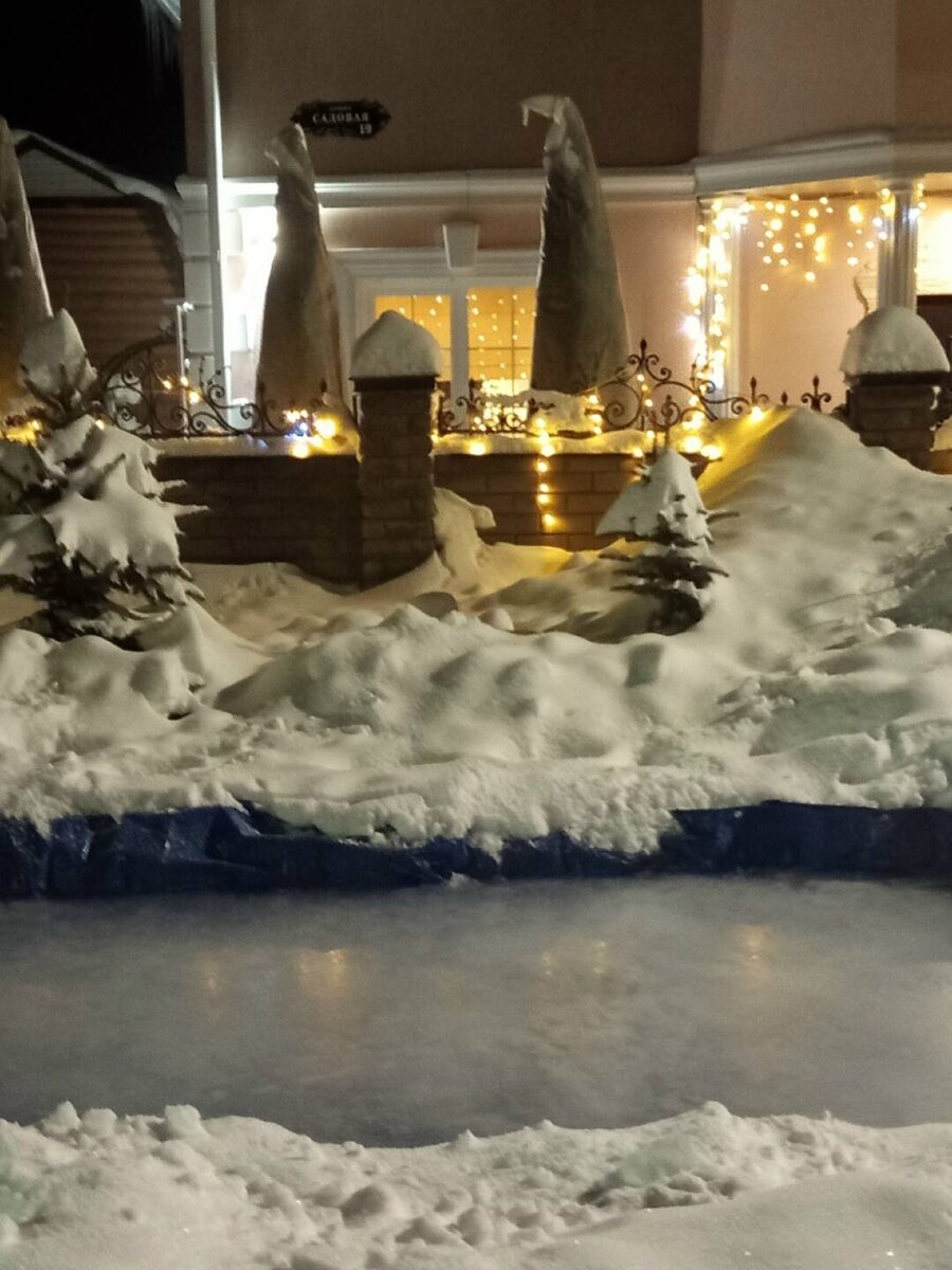 Фото: страница в соцсети «ВКонтакте» Юлии Самошиной-Романовой