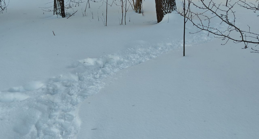    Первый городской канал Калининград