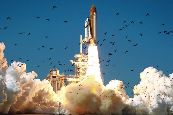 Старт шаттла Challenger, распугавший местных птиц / NASA (Public Domain)  