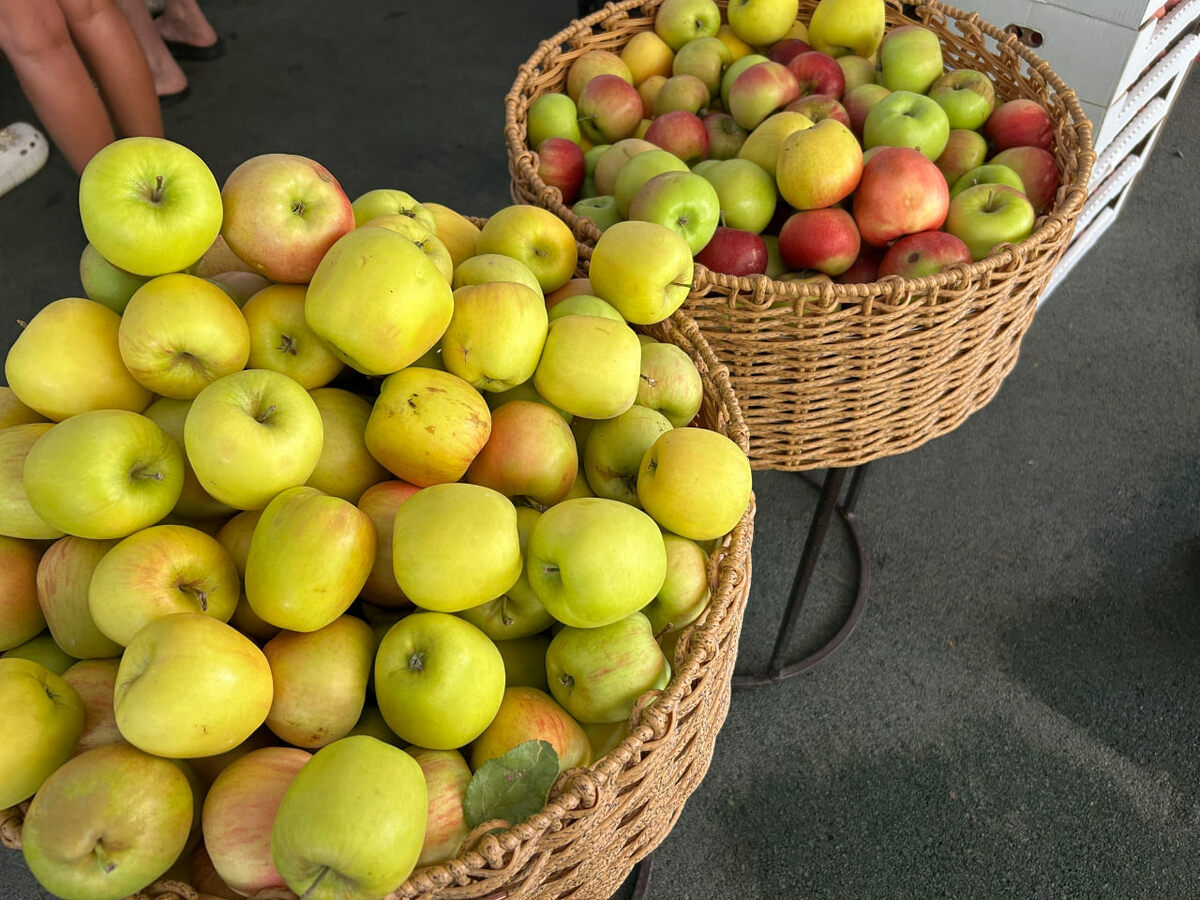    архив редакции